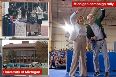 Exclusive | University of Michigan fills up with left-wing voter registration groups