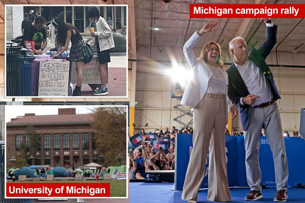 Exclusive | University of Michigan fills up with left-wing voter registration groups