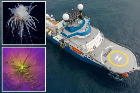Undersea mountain taller than Mount Olympus found off Chilean coast