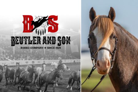 Up to 70 horses killed after ingesting possibly tainted feed one week before ‘Rodeo of Champions’