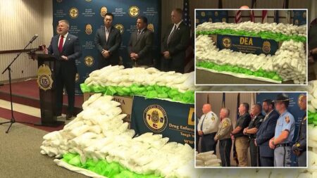 Over 2,000 pounds of meth smuggled in celery at Atlanta farmers’ market: ‘That didn’t make it to the store’