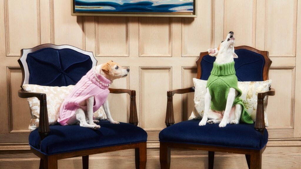 A Glamorous Day at Home With Mariah Carey’s Beloved Jack Russell Terriers