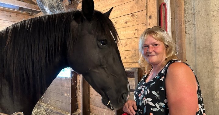 N.S. charities using online raffle site will now face new ‘piece of red tape’