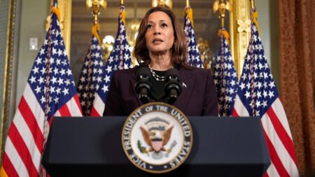Kamala Harris’ foreign policy chops questioned: What has she done, where has she been?