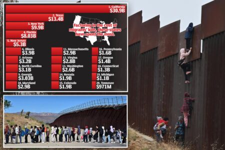 How the migrant crisis drained $150 billion from taxpayers in a single year