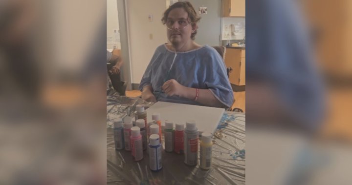 ‘His last wish’: Edmonton mom hopes to get son’s painting to P!nk