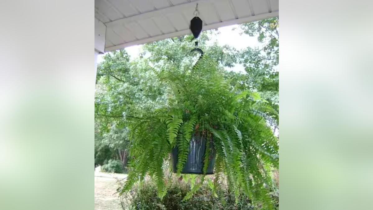 Make watering your hanging plants easier.
