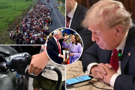 Trump hammers ‘defective’ Democrats on border, inflation and foreign policy in a wide-ranging interview with Elon Musk