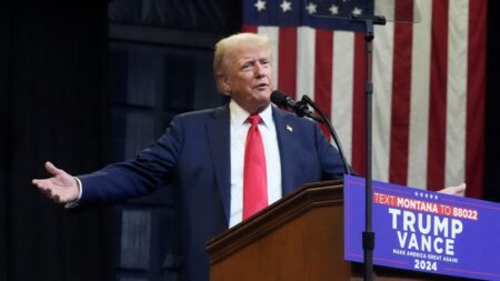 Analysis: Musk tries to help Trump halt the Harris surge