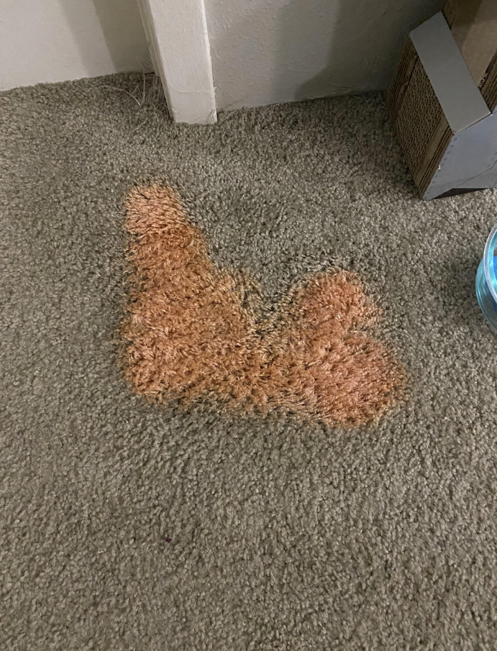 Screenshot of a Reddit post in r/CleaningTips asking how to remove a bright orange stain from a carpet caused by toilet cleaner. Responses advise on carpet stain removal