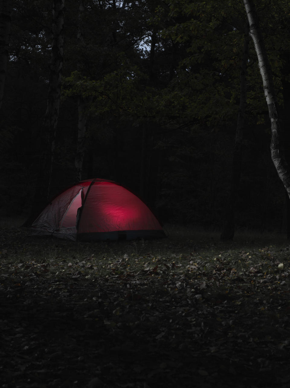 Red tent illuminated from within, set up in a dark, wooded area at night. No people present