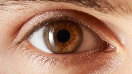 Take Charge of Your Eye Health With These Vitamins and Supplements