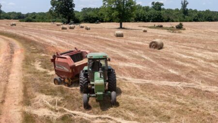 USDA farmer discrimination relief payments begin as some Black farmers ask courts to include heirs in program