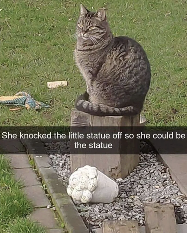 A tabby cat sits on a small wooden stump in a garden, appearing to have displaced a statue now lying on the ground. Text reads: "She knocked the little statue off so she could be the statue."