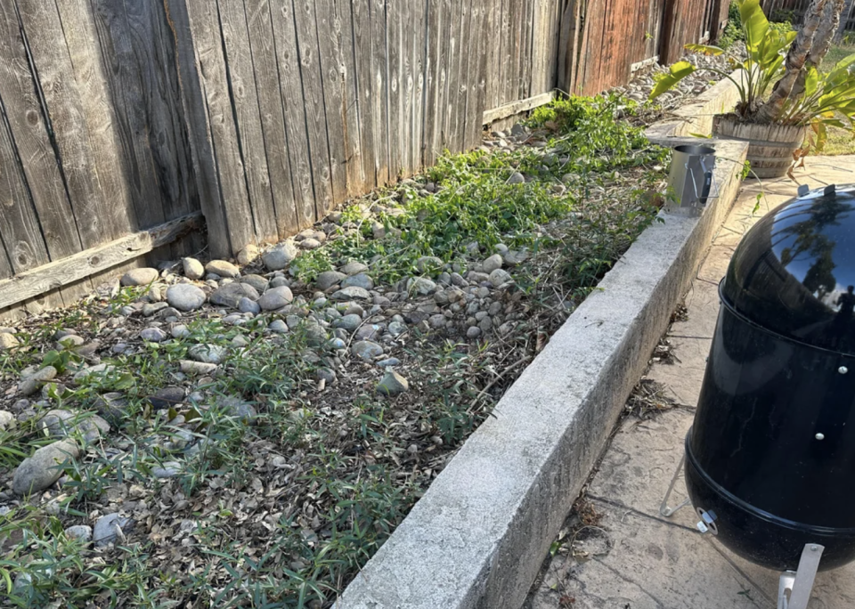 Reddit gardening community page showing posts about raised garden beds, with a black compost bin and a garden bed near a wooden fence