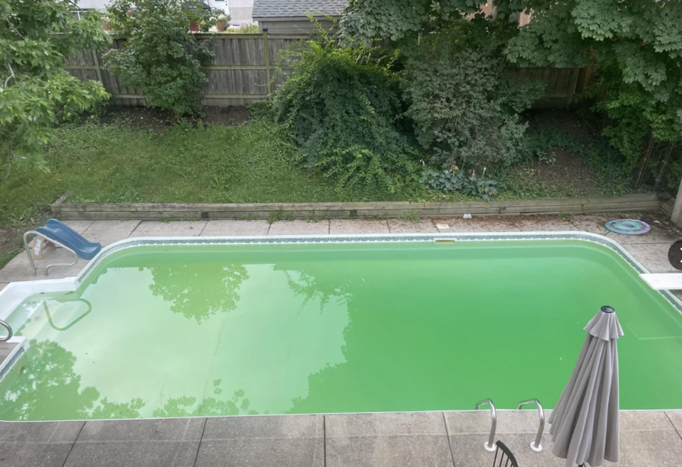 A Reddit post in the r/pools community shows a backyard pool with murky green water. Several user comments discuss the pool’s algae issue and possible solutions