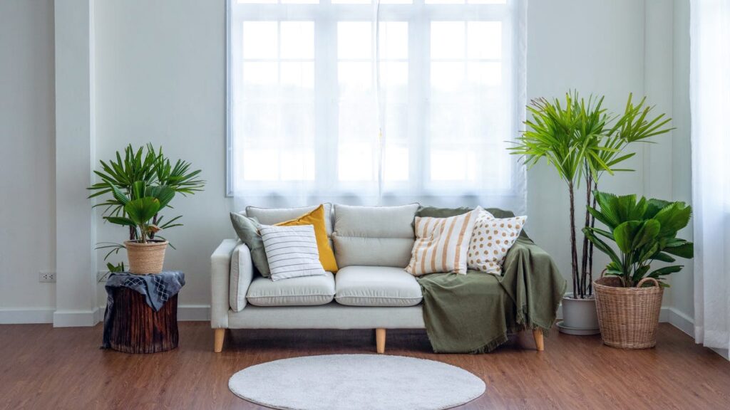 9 Houseplants Even Beginners Can’t Kill, According to Plant Experts