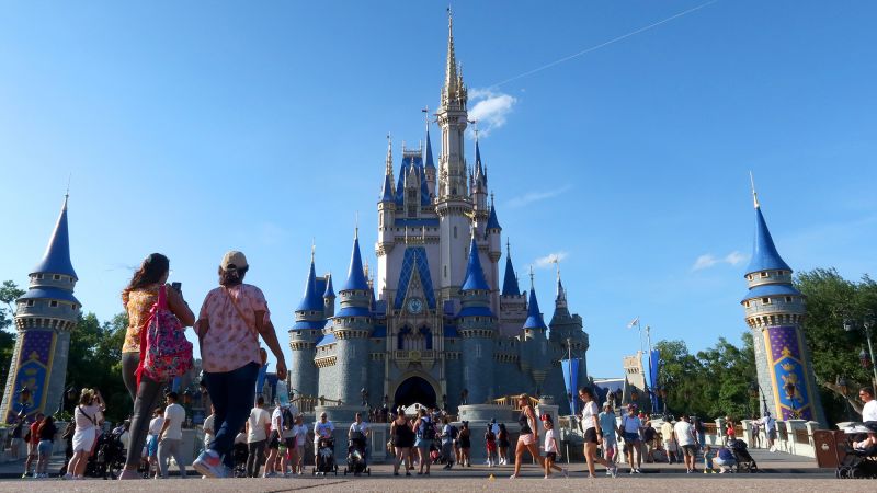 Disney may have a parks problem