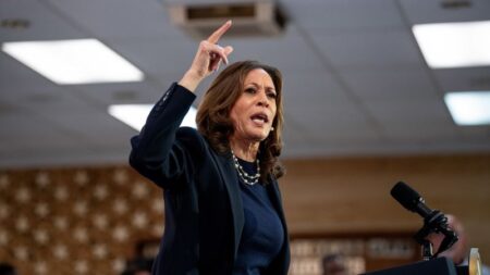 Harris to call for federal ban on price gouging to lower costs in first economic policy speech