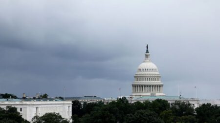 The 10 Senate seats most likely to flip in 2024
