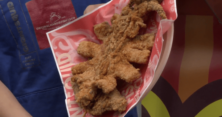 Giant squid on a stick, sour candy soft serve and more on offer at this year’s PNE