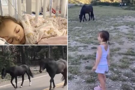 Chilling video shows moments before wild horse kicks toddler in the head: ‘Thought she had died’