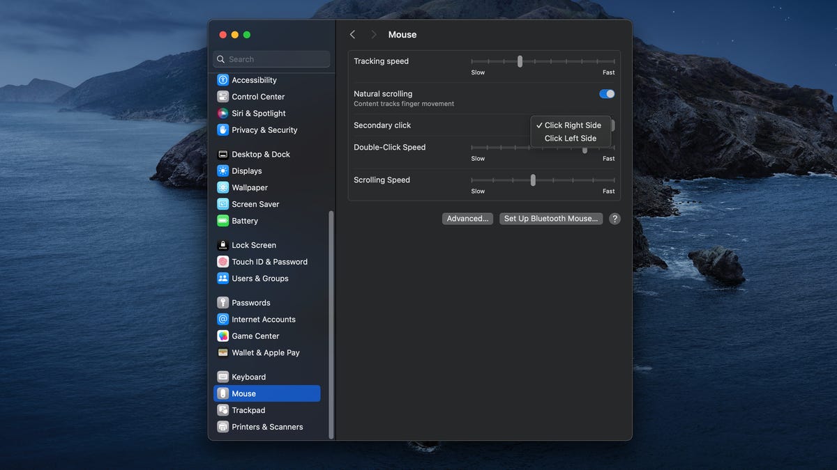 macOS mouse settings click options