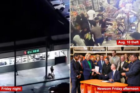 California thieves strike 3 7-Eleven stores in under 20 minutes hours after Newsom signed ‘landmark’ package to curb smash-and-grab crime