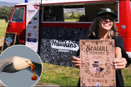 Food truck offering ‘seagull insurance’ with meals to cover thieving birds