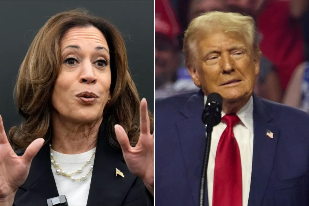 Trump, Harris spending plans could weigh on the US economy, analysis shows
