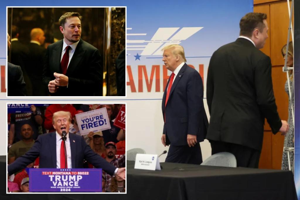 Elon Musk to interview Trump on as in chance to seize the limelight in 2024 race