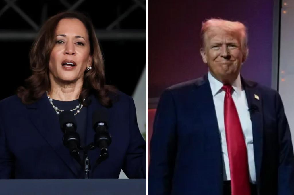 Kamala Harris responds to Trump’s remarks at black journalists event: ‘Same old show’