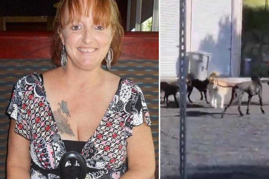 Calif. mom mauled to death by dogs after neighbors complained about pack of 25 Great Danes running loose