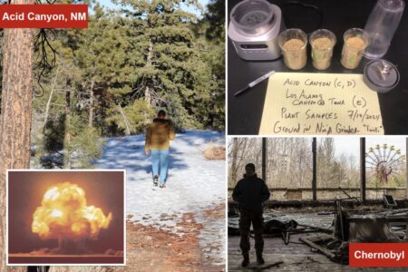 Plutonium at popular US spot allegedly comparable to Chernobyl site — but gov’t denies issue
