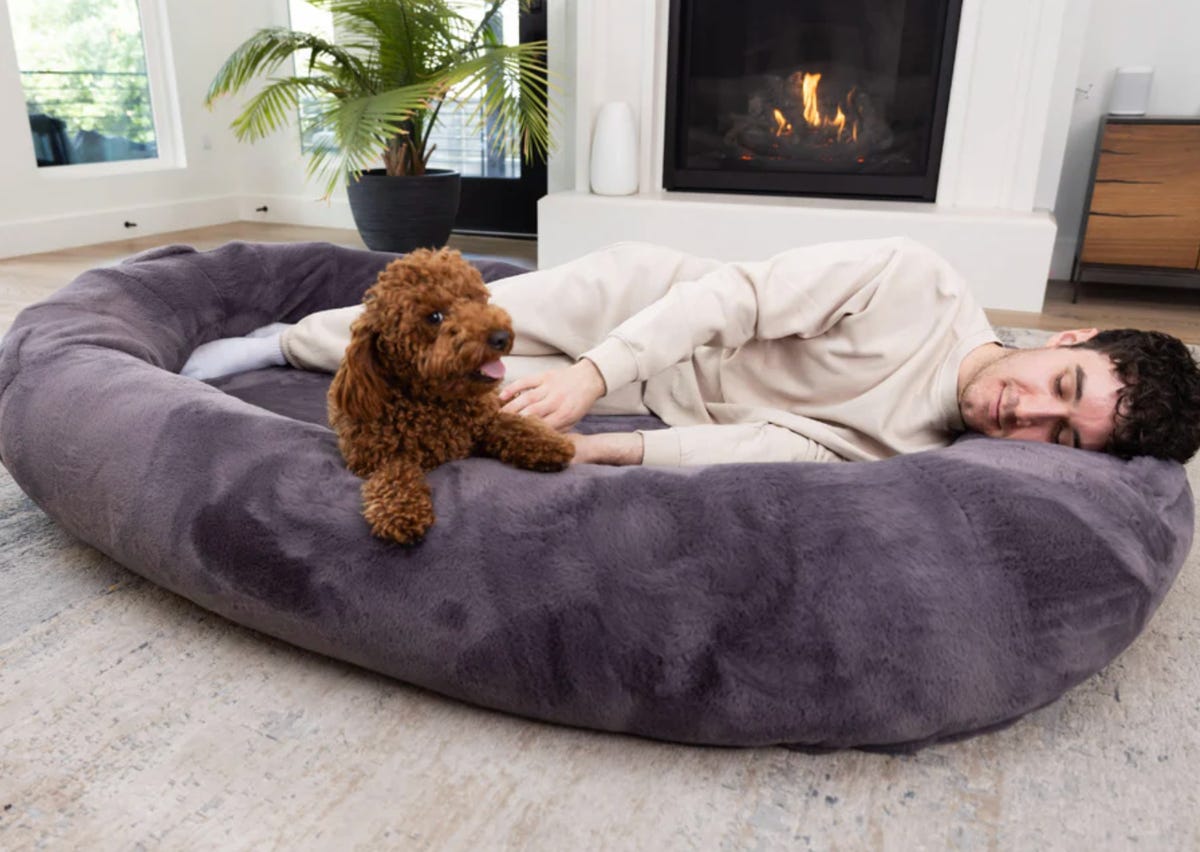 large plufl with human and dog