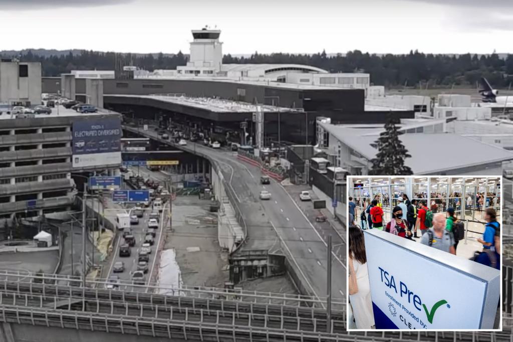 Seattle-Tacoma International Airport hit with delays after ‘possible’ cyberattack