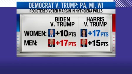 Pollster predicts a wide gender gap among voters in the 2024 election