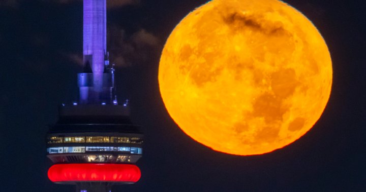 Super blue moon will be ‘biggest and brightest’ of the year. What to know