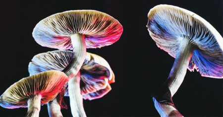 High-dose psilocybin may be as effective as escilatopram