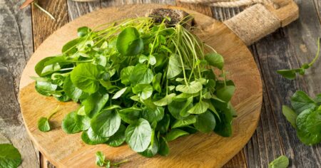 Watercress is the Healthiest Vegetable: Benefits Nutrition, Recipes