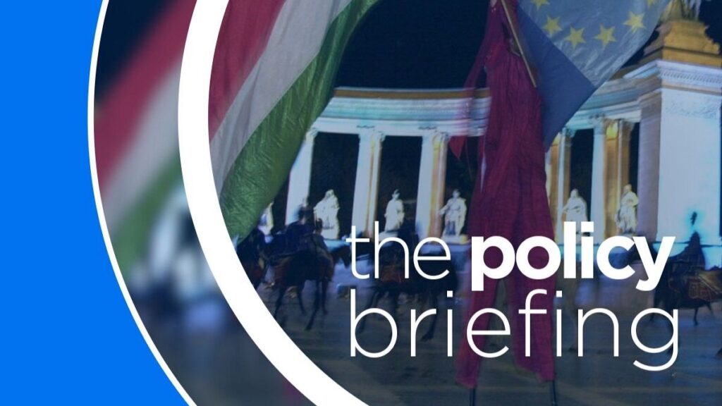 From Budapest to Brussels, Newsletter