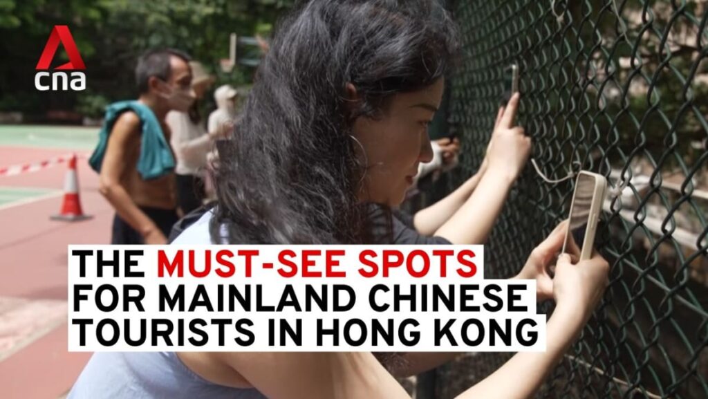 The must-see spots for mainland Chinese travellers in Hong Kong | Video