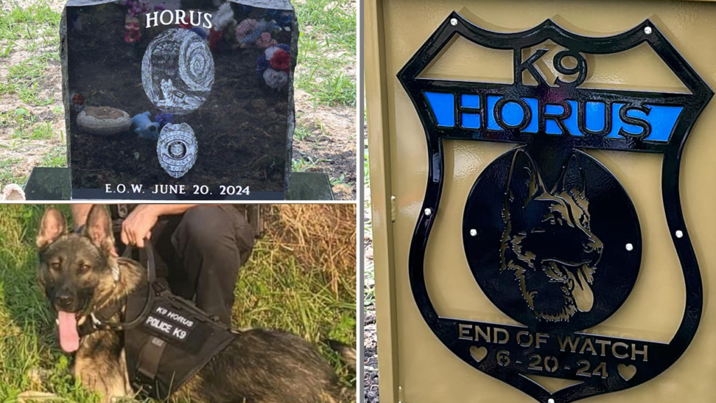 Missouri police officer charged in death of K-9 officer left in hot car