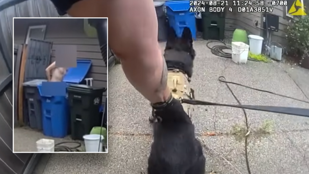 Bodycam footage shows K-9 ending bizarre pursuit involving naked suspect: ‘Good boy’
