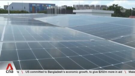 Landed houses capitalise on low cost of solar panels