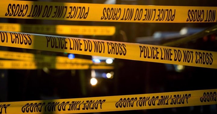 Pilot, passengers all survive plane crash north of Montreal, police say