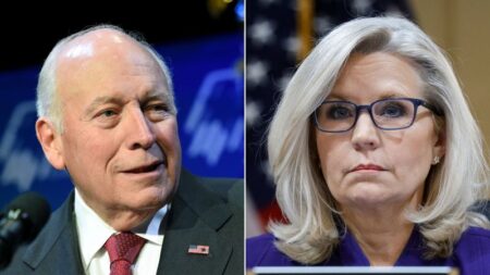Video: Liz Cheney reveals who Dick Cheney is voting for in 2024