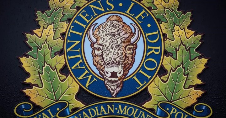 Crash involving ‘erratic driver’ near Ninette, Man. kills 1, RCMP say