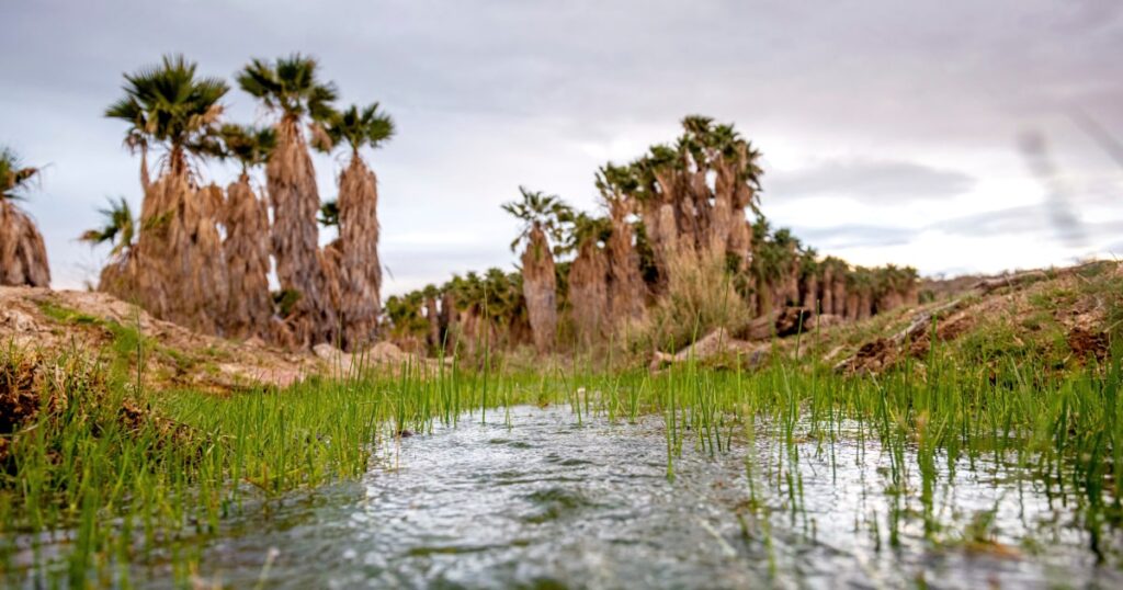Arizona tribe fights to stop lithium drilling on culturally significant lands