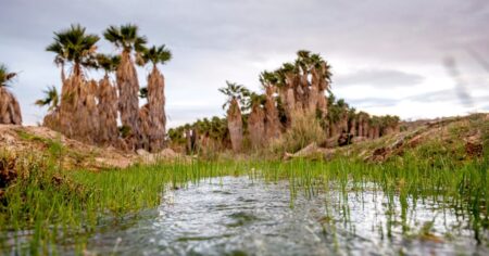 Arizona tribe fights to stop lithium drilling on culturally significant lands